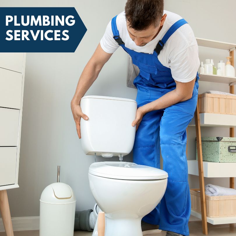 Plumbing Company in Leicester, NY